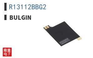 R13112BBG2