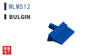 WLMS12
