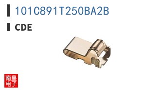 101C891T250BA2B