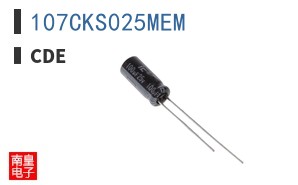 107CKS025MEM