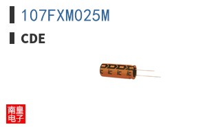 107FXM025M