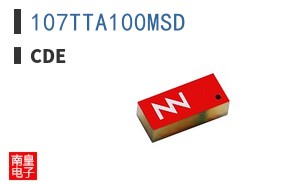 107TTA100MSD