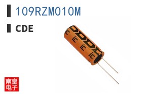 109RZM010M