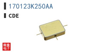 170123K250AA