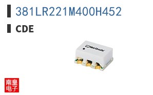 381LR221M400H452