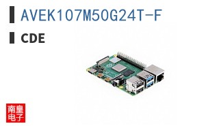 AVEK107M50G24T-F