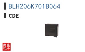 BLH206K701B064