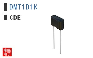 DMT1D1K