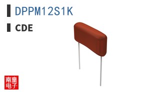 DPPM12S1K