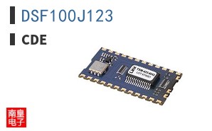 DSF100J123