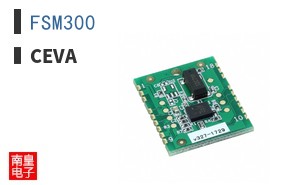 FSM300