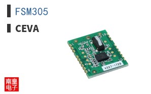 FSM305