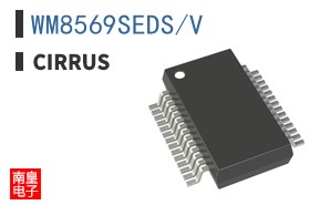 WM8569SEDS/V