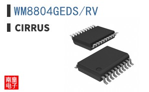 WM8804GEDS/RV