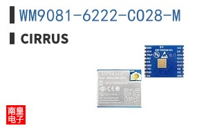WM9081-6222-CO28-M