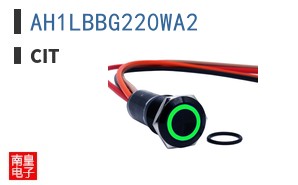 AH1LBBG220WA2