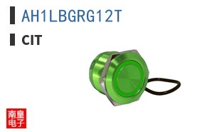 AH1LBGRG12T