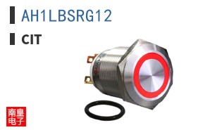 AH1LBSRG12