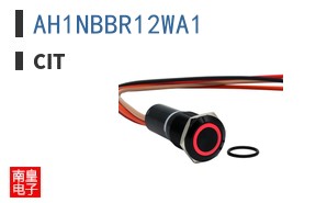 AH1NBBR12WA1