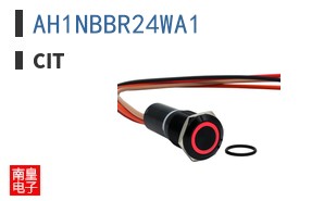 AH1NBBR24WA1