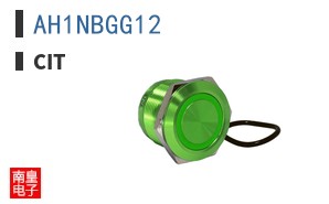 AH1NBGG12