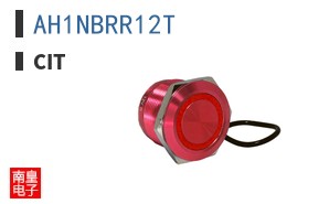 AH1NBRR12T