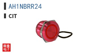 AH1NBRR24