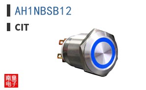 AH1NBSB12