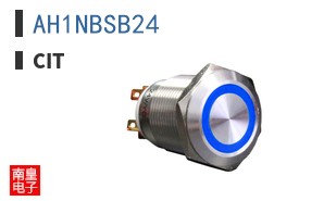AH1NBSB24