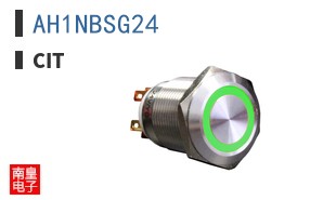 AH1NBSG24