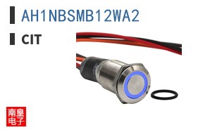 AH1NBSMB12WA2