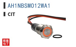 AH1NBSMO12WA1