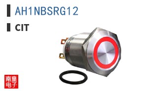 AH1NBSRG12