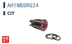 AH1NBSRG24