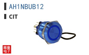 AH1NBUB12