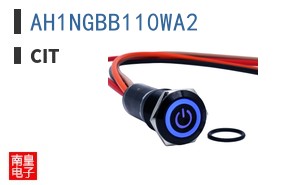 AH1NGBB110WA2