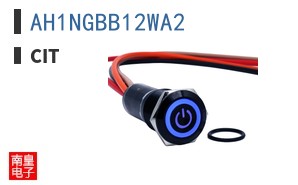 AH1NGBB12WA2