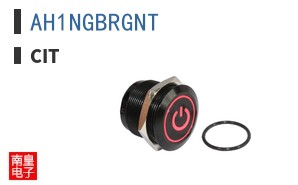 AH1NGBRGNT