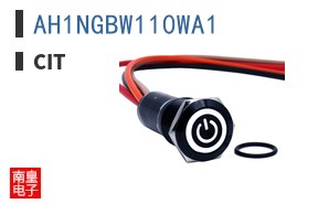 AH1NGBW110WA1