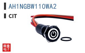 AH1NGBW110WA2