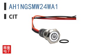 AH1NGSMW24WA1