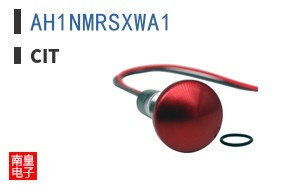 AH1NMRSXWA1