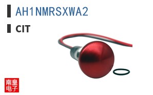 AH1NMRSXWA2