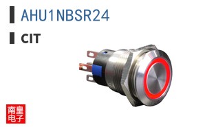 AHU1NBSR24