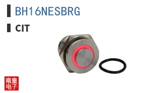 BH16NESBRG