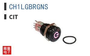 CH1LGBRGNS
