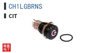 CH1LGBRNS