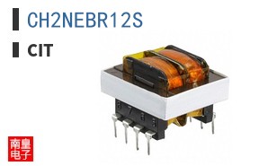 CH2NEBR12S