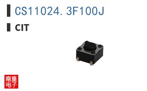 CS11024.3F100J