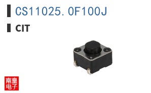 CS11025.0F100J